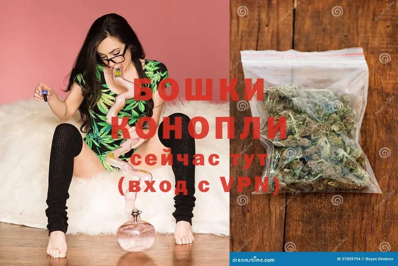 купить наркоту  Высоковск  Бошки марихуана THC 21% 